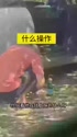 附圖