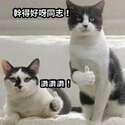 附圖