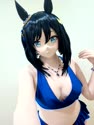 附圖