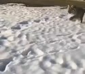 附圖