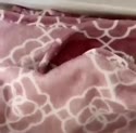 附圖