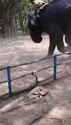 附圖