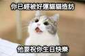 附圖
