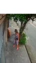 附圖