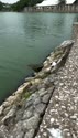 附圖
