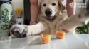 附圖