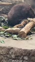 附圖