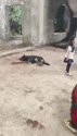 附圖