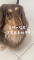 附圖