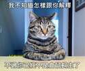 附圖