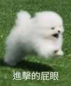 附圖