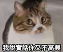 附圖