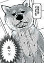 附圖