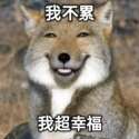 附圖
