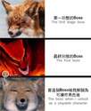 附圖