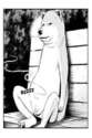 附圖