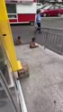 附圖