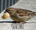 附圖