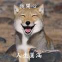 附圖
