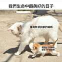 附圖