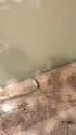 附圖