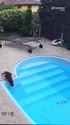 附圖