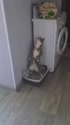 附圖