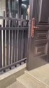 附圖