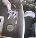 附圖