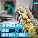 附圖