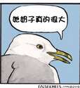 附圖