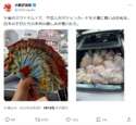 附圖