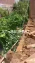 附圖
