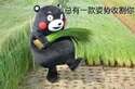 附圖