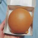 附圖