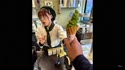 附圖