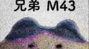 附圖