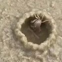 附圖