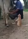 附圖