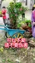 附圖