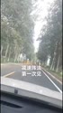 附圖