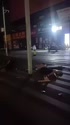 附圖