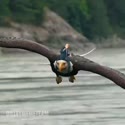 附圖