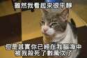 附圖