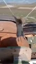 附圖
