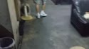 附圖