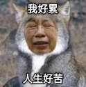 附圖