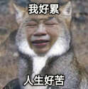 附圖