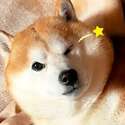 附圖