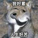 附圖